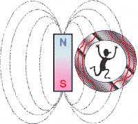 Magnetic EMF Shielding by Shielding a Human